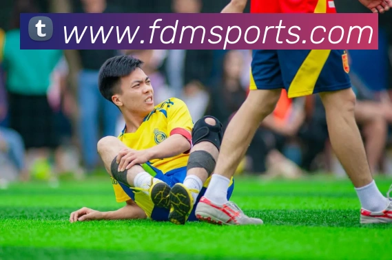 体育下注平台生态图