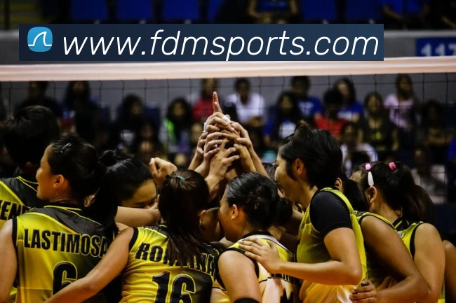 体育下注APP 封面图